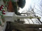 image of grave number 606985
